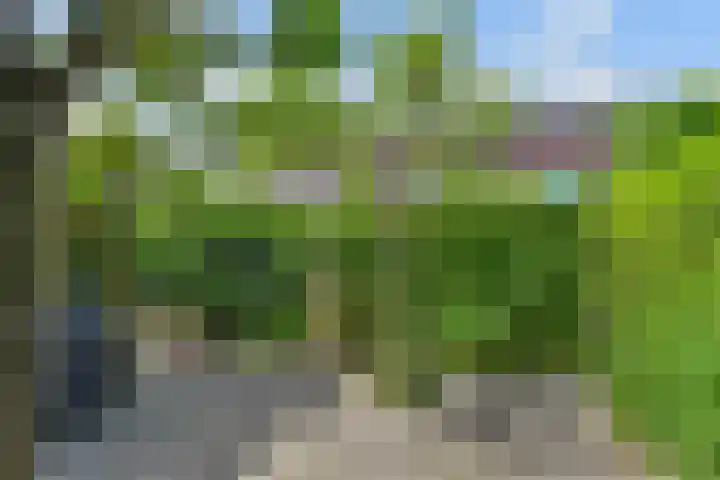 Papavertuin 14 Bergschenhoek thumbnail 48