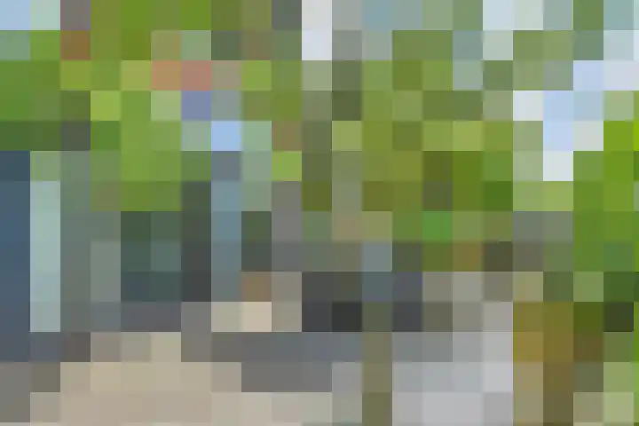 Papavertuin 14 Bergschenhoek thumbnail 49