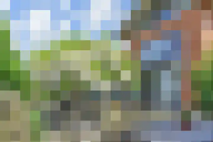 Papavertuin 14 Bergschenhoek thumbnail 5
