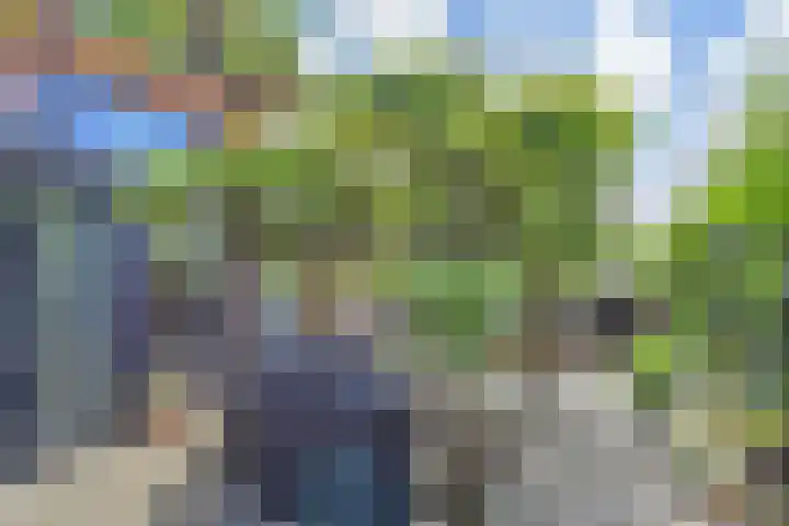 Papavertuin 14 Bergschenhoek thumbnail 50