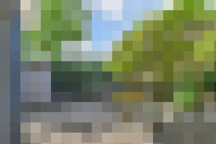 Papavertuin 14 Bergschenhoek thumbnail 51