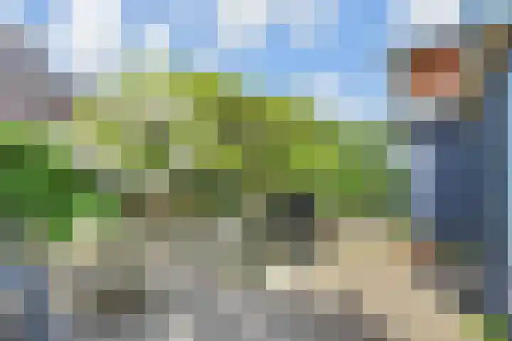 Papavertuin 14 Bergschenhoek thumbnail 52