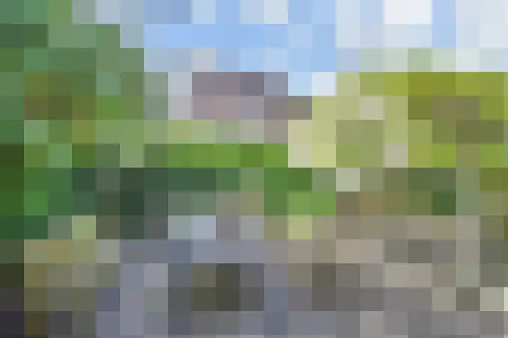 Papavertuin 14 Bergschenhoek thumbnail 53