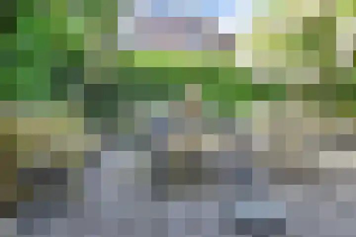 Papavertuin 14 Bergschenhoek thumbnail 54