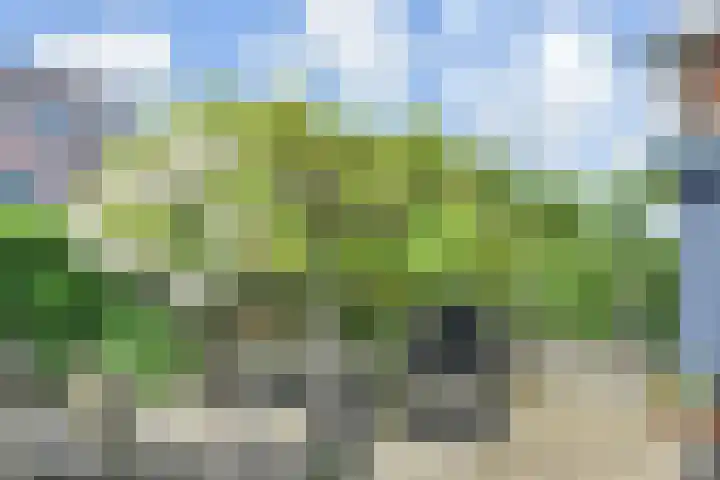 Papavertuin 14 Bergschenhoek thumbnail 55