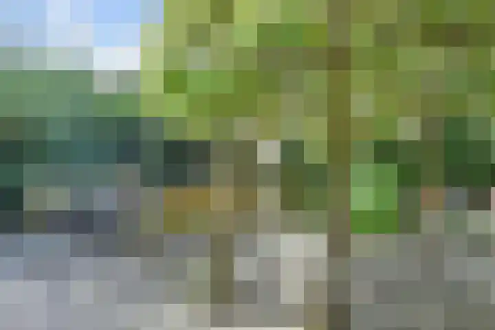 Papavertuin 14 Bergschenhoek thumbnail 56