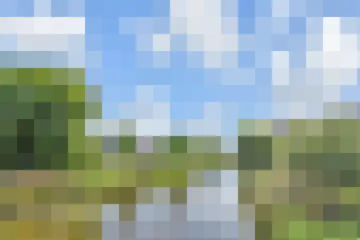 Papavertuin 14 Bergschenhoek thumbnail 61