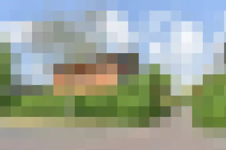 Papavertuin 14 Bergschenhoek thumbnail 62