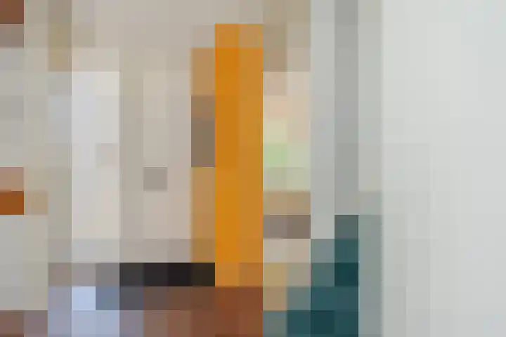 Papavertuin 14 Bergschenhoek thumbnail 8