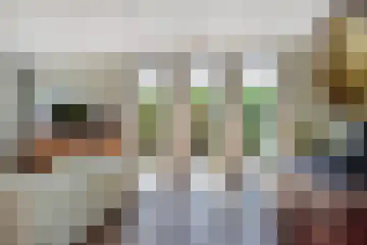 Papavertuin 14 Bergschenhoek thumbnail 9
