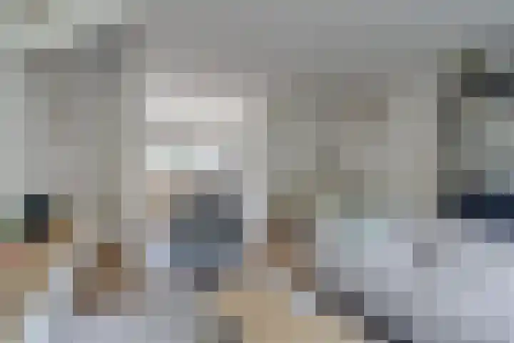 Papaverveld 20 Waddinxveen thumbnail 12