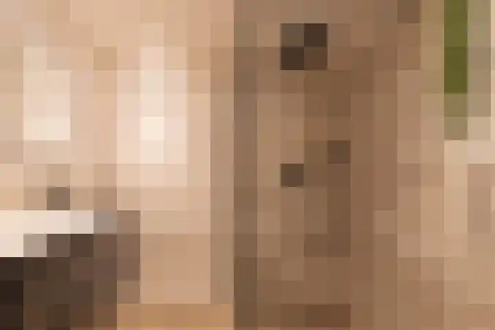 Papaverveld 20 Waddinxveen thumbnail 22