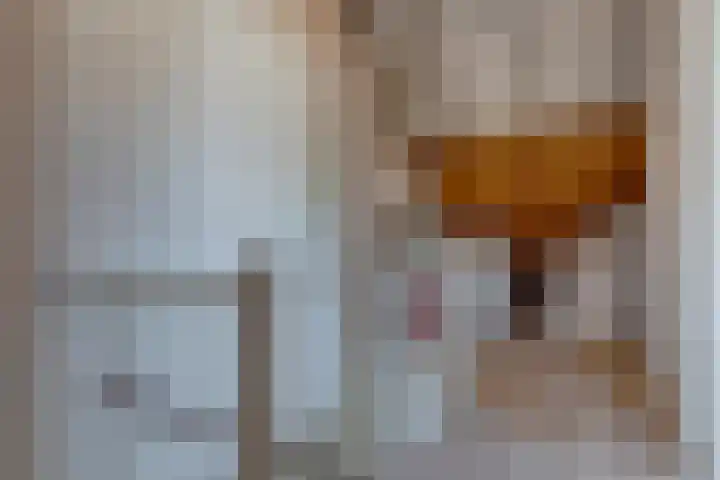 Papaverveld 20 Waddinxveen thumbnail 24