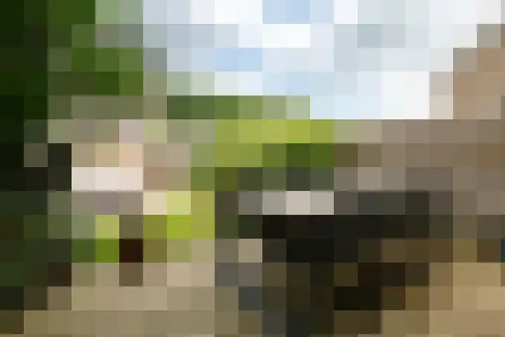 Papaverveld 20 Waddinxveen thumbnail 27