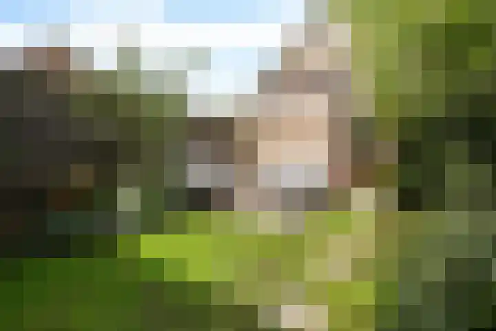 Papaverveld 20 Waddinxveen thumbnail 28