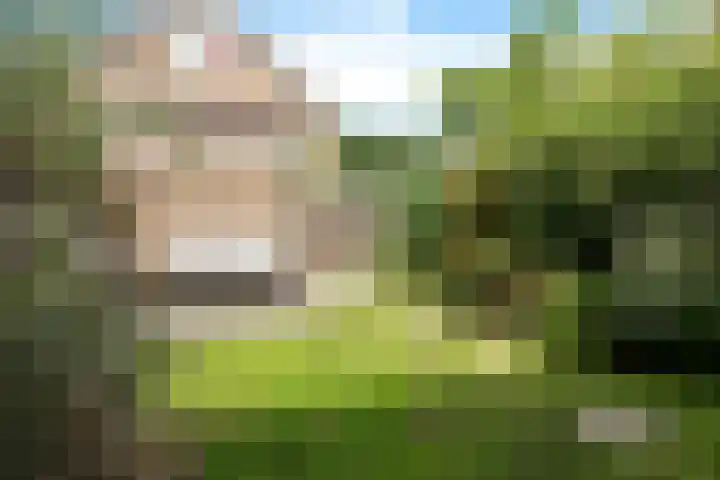 Papaverveld 20 Waddinxveen thumbnail 29