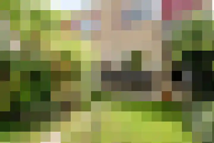 Papaverveld 20 Waddinxveen thumbnail 30