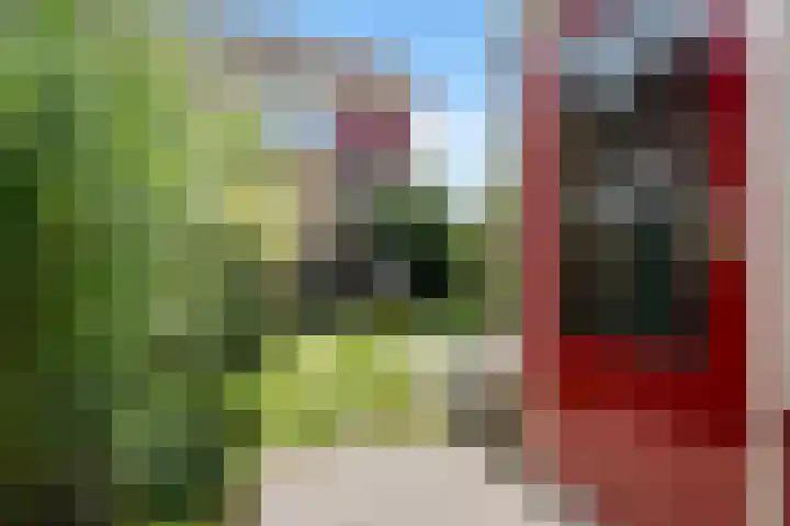 Papaverveld 20 Waddinxveen thumbnail 31