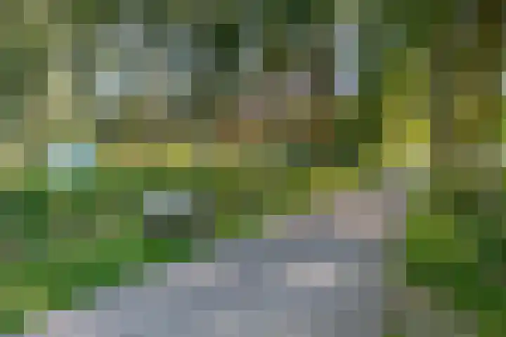 Papaverveld 20 Waddinxveen thumbnail 34