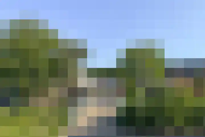 Papaverveld 20 Waddinxveen thumbnail 35