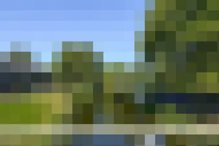 Papaverveld 20 Waddinxveen thumbnail 36