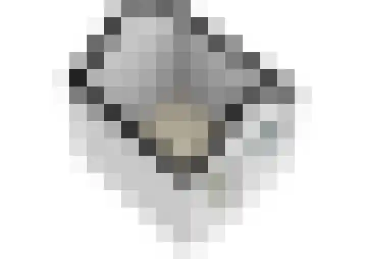 Papaverveld 20 Waddinxveen thumbnail 45
