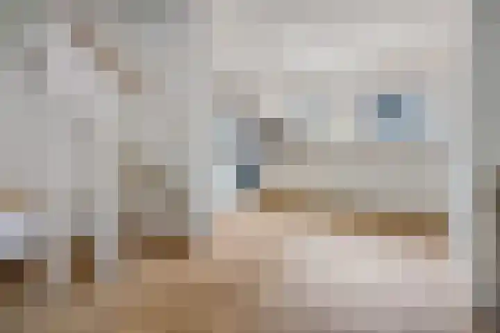 Papaverveld 20 Waddinxveen thumbnail 5