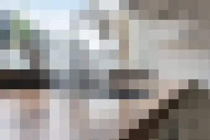 Papaverveld 20 Waddinxveen thumbnail 7