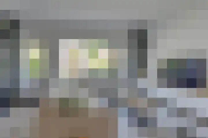 Papaverveld 20 Waddinxveen thumbnail 9