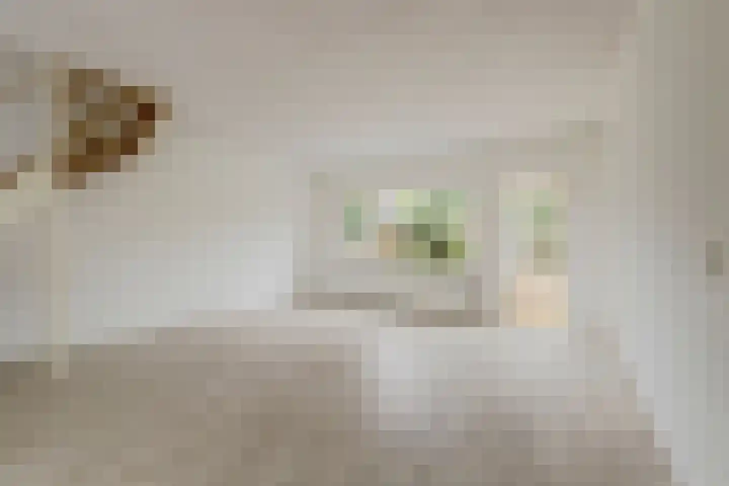 Papaverveld 41 Waddinxveen thumbnail 10