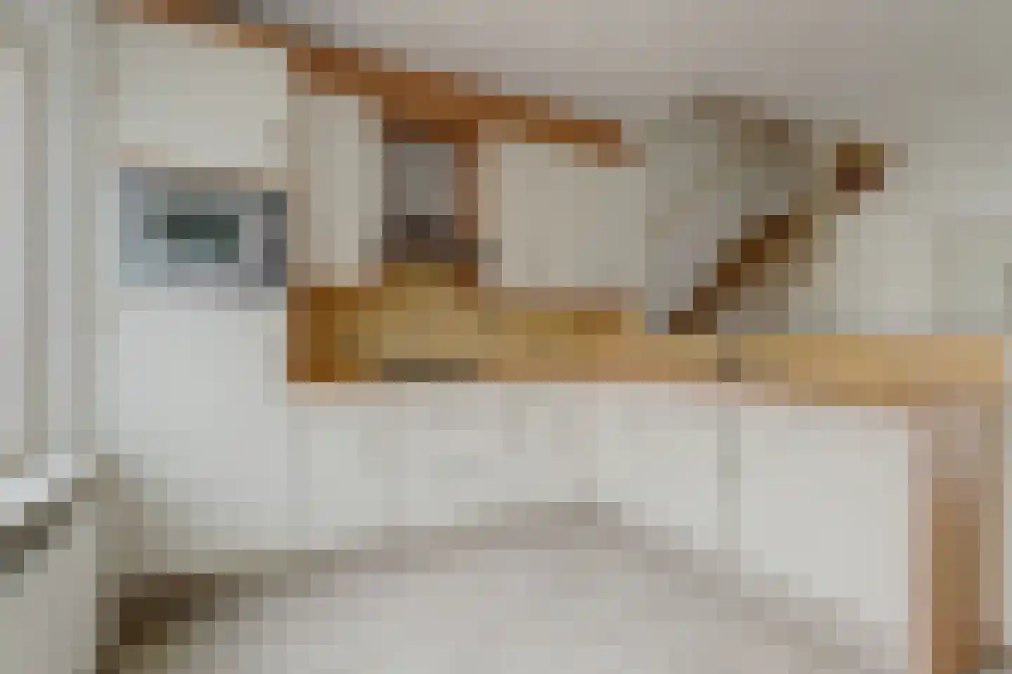 Papaverveld 41 Waddinxveen thumbnail 13