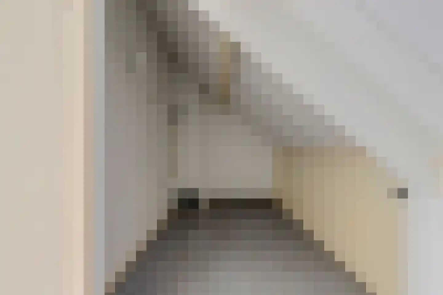Papaverveld 41 Waddinxveen thumbnail 27