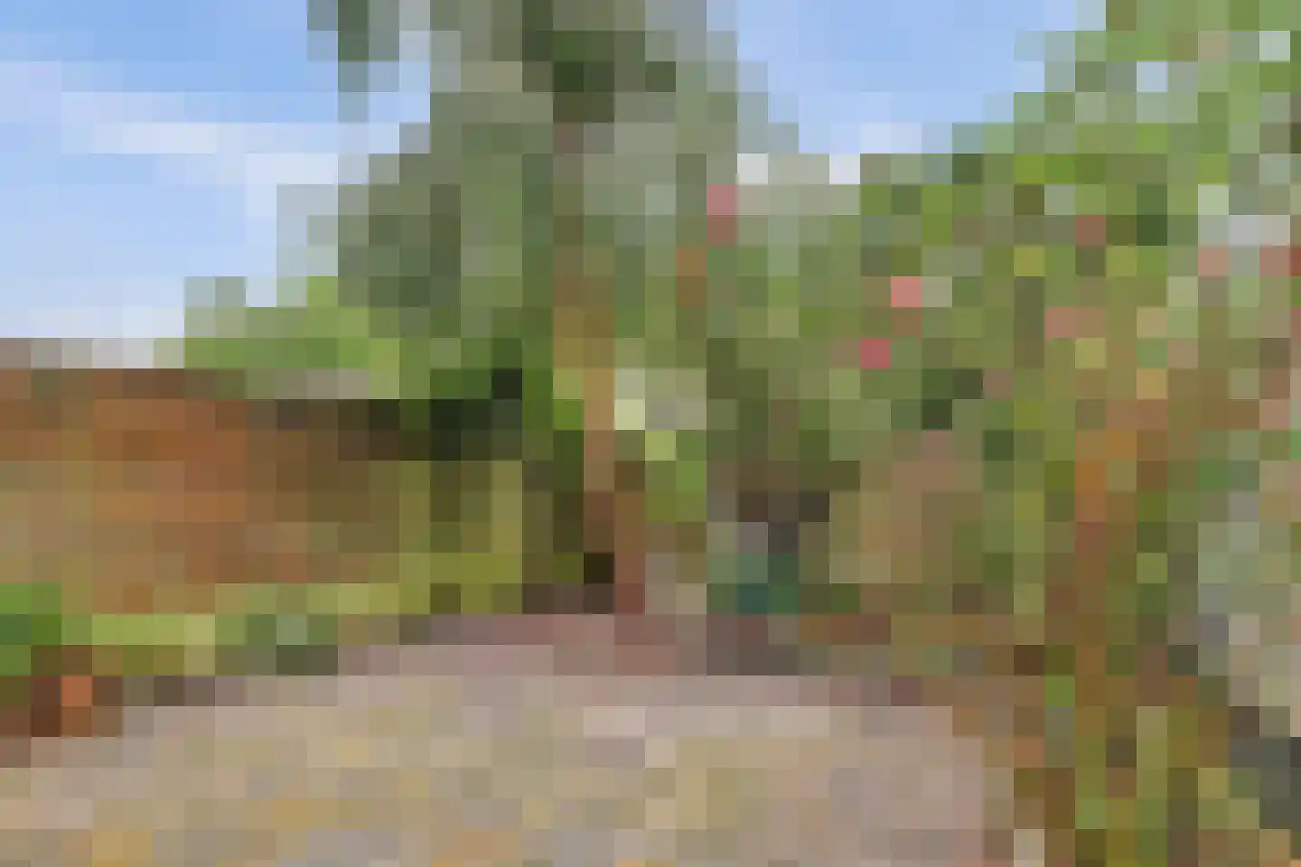 Papaverveld 41 Waddinxveen thumbnail 28