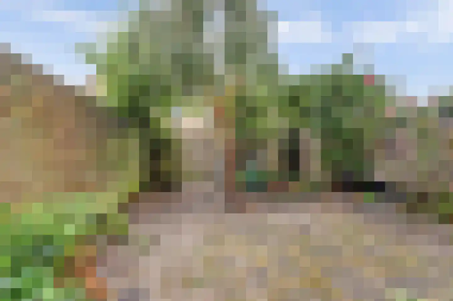 Papaverveld 41 Waddinxveen thumbnail 29