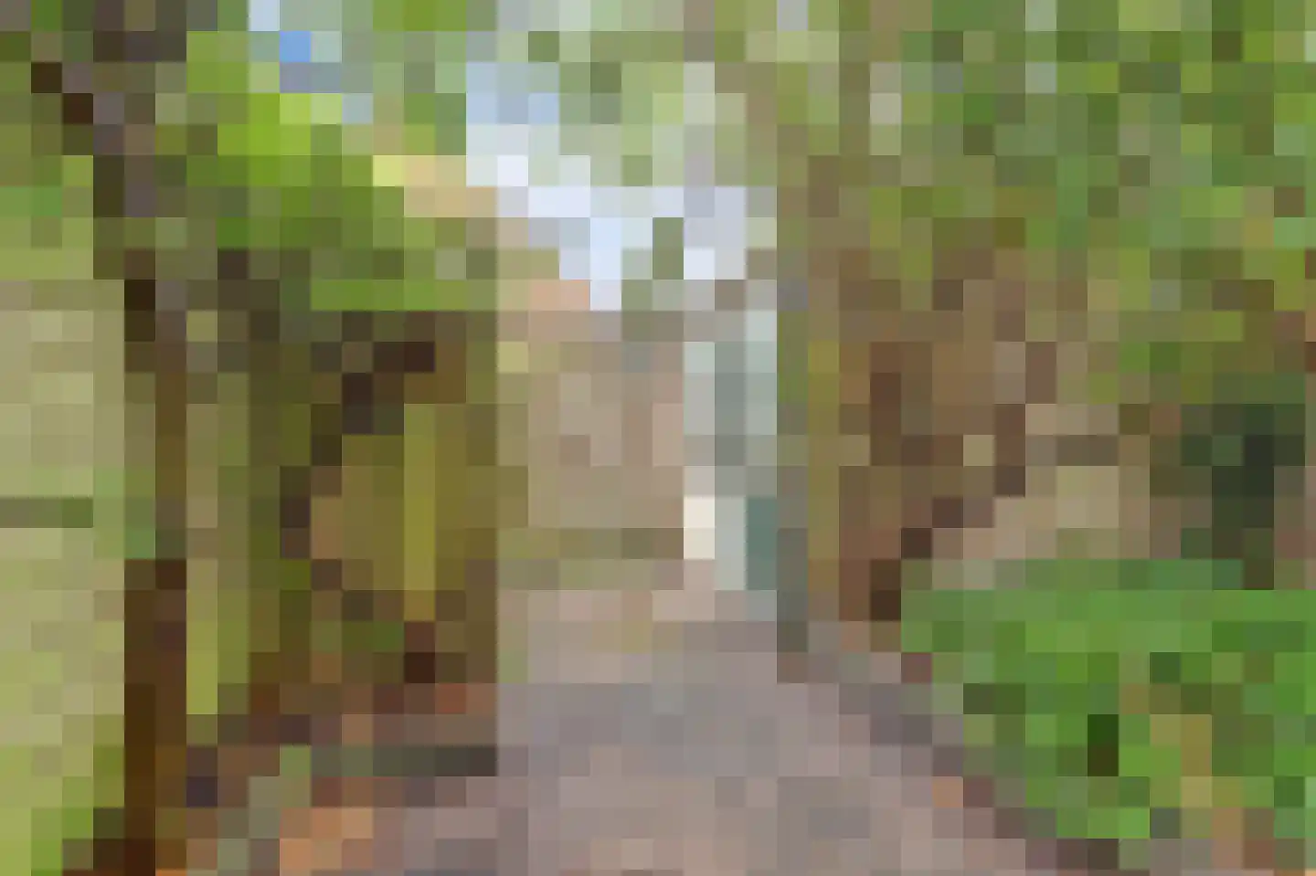 Papaverveld 41 Waddinxveen thumbnail 30