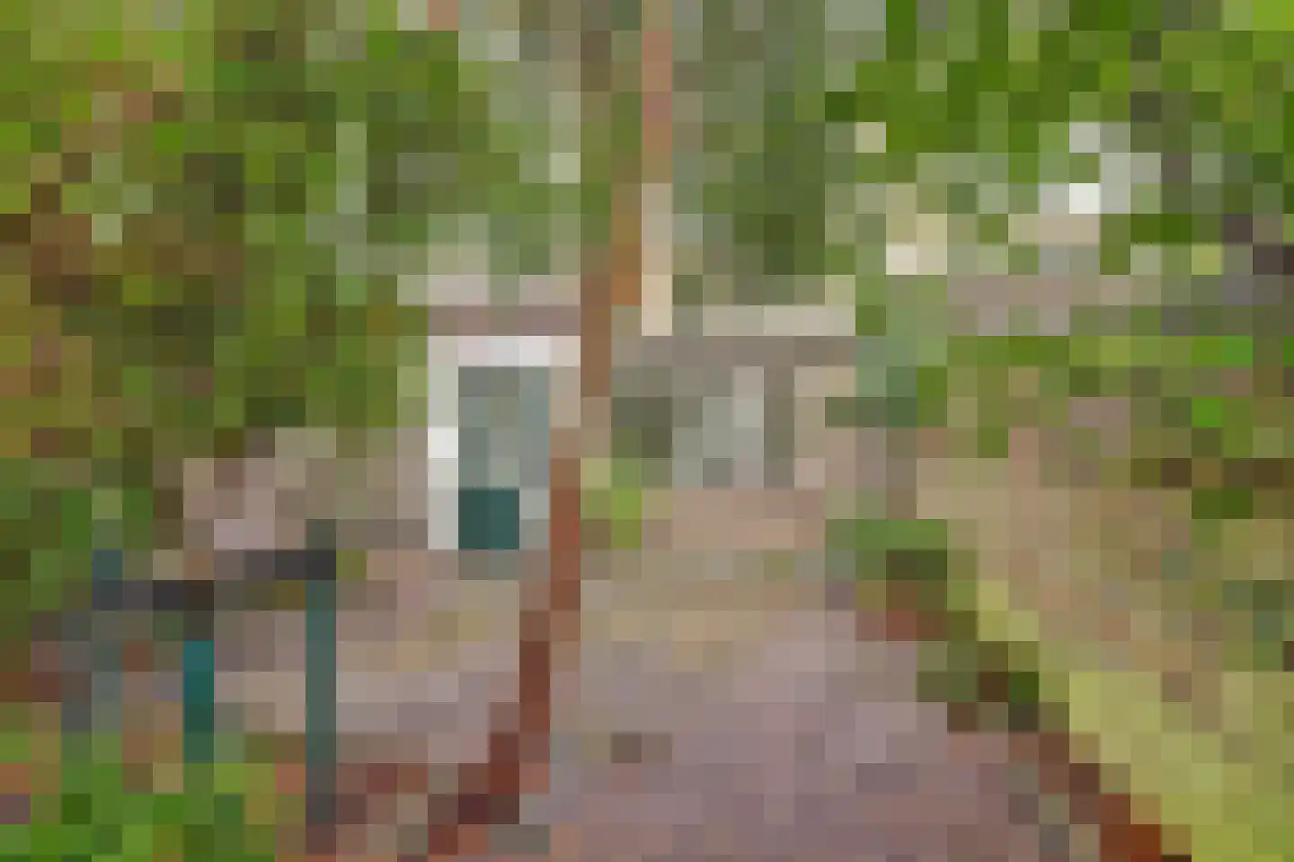 Papaverveld 41 Waddinxveen thumbnail 31