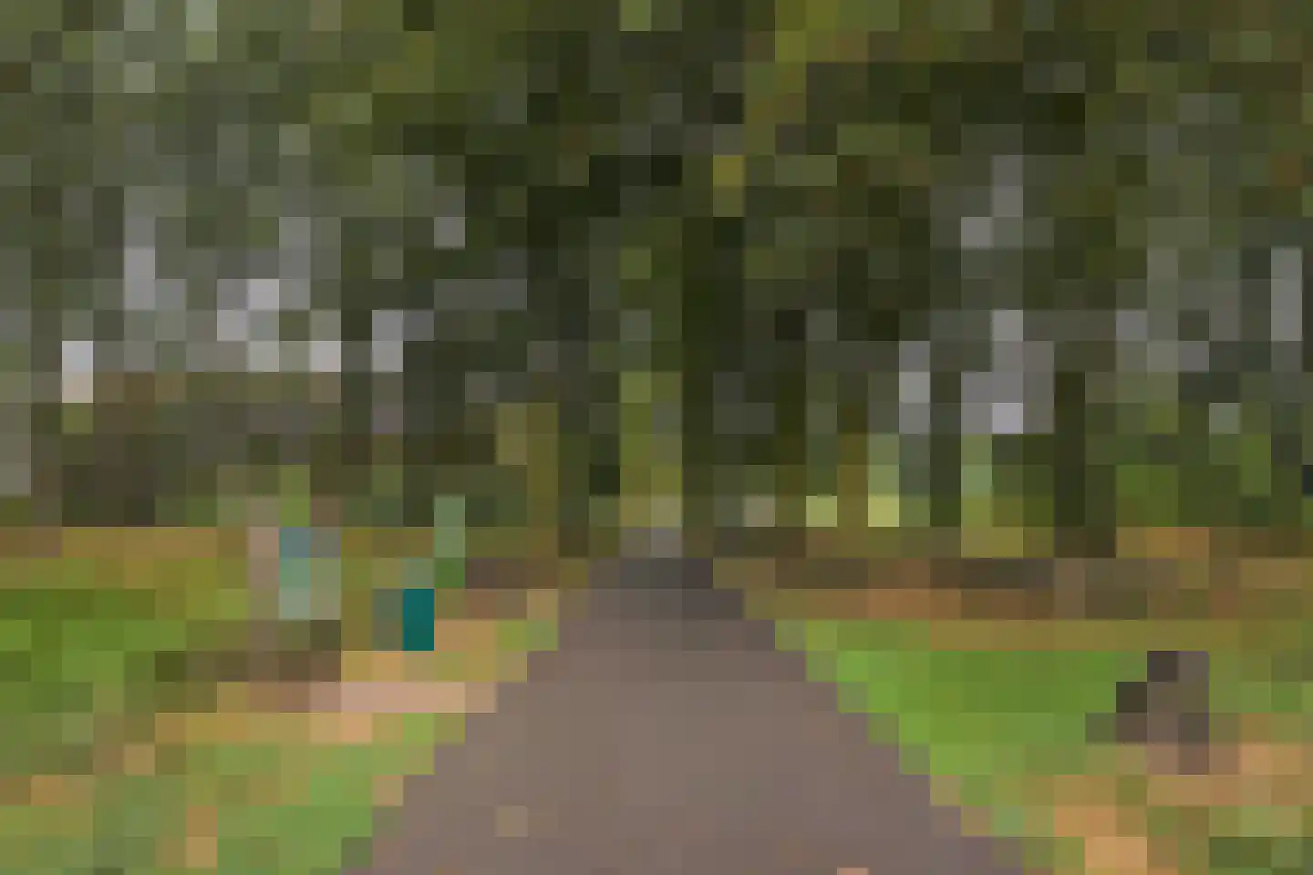 Papaverveld 41 Waddinxveen thumbnail 35