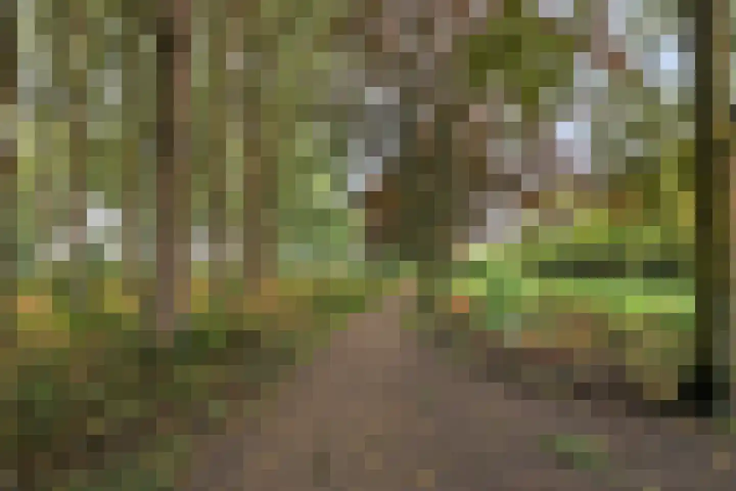 Papaverveld 41 Waddinxveen thumbnail 36