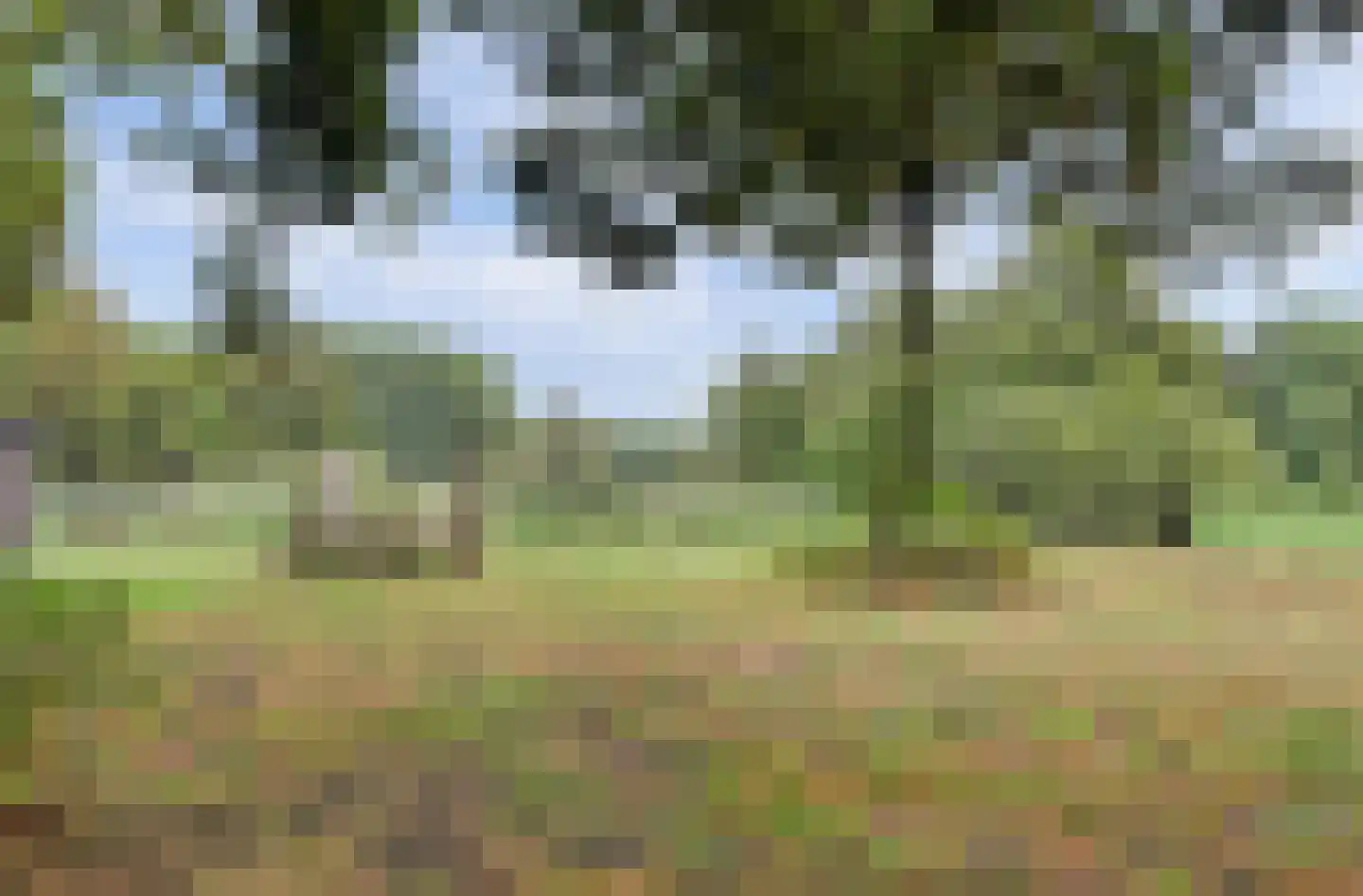 Papaverveld 41 Waddinxveen thumbnail 37