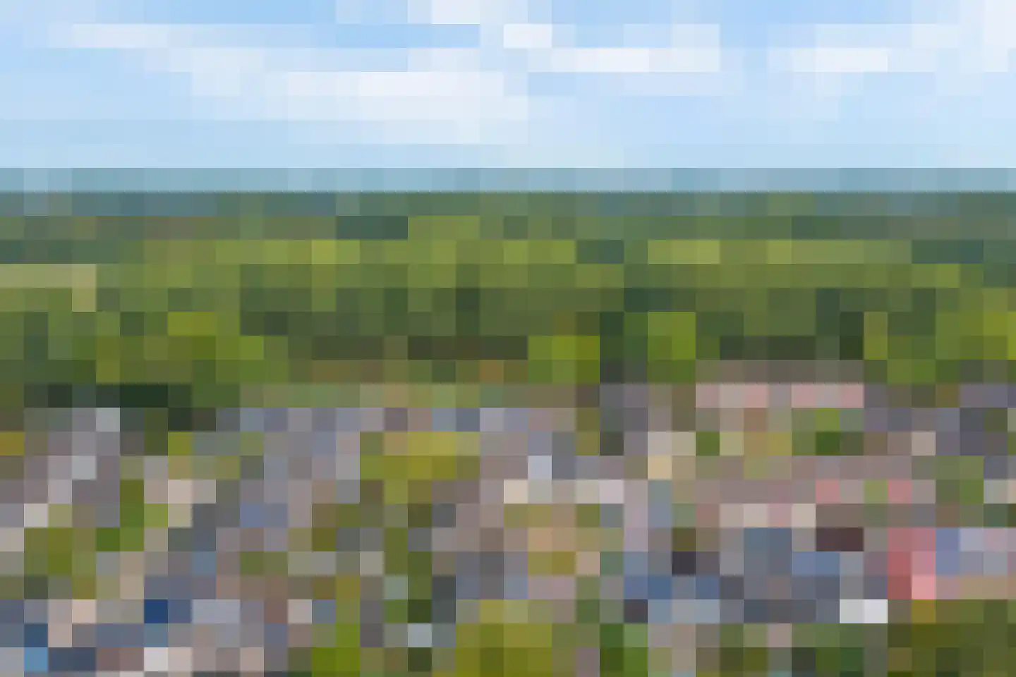 Papaverveld 41 Waddinxveen thumbnail 40