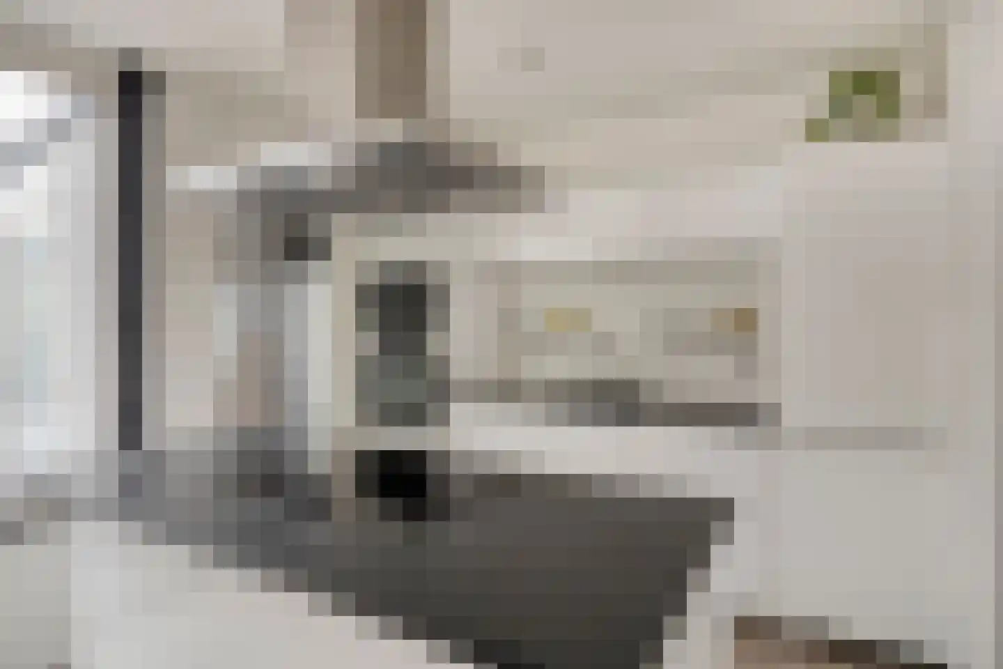 Papaverweerd 23 Maastricht thumbnail 12