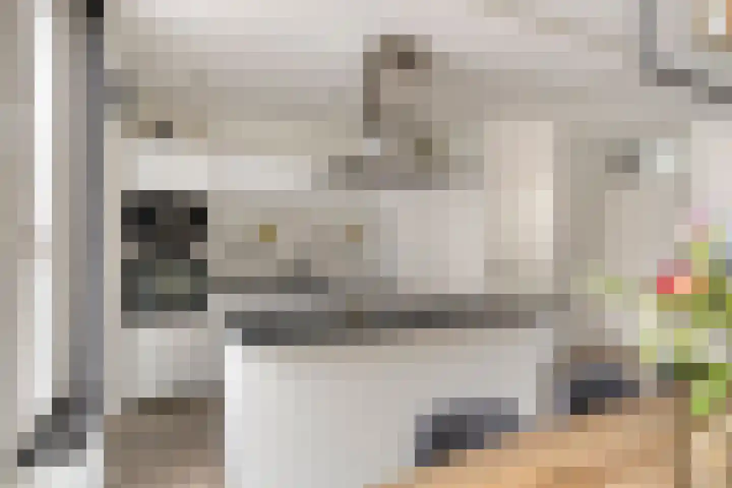 Papaverweerd 23 Maastricht thumbnail 13