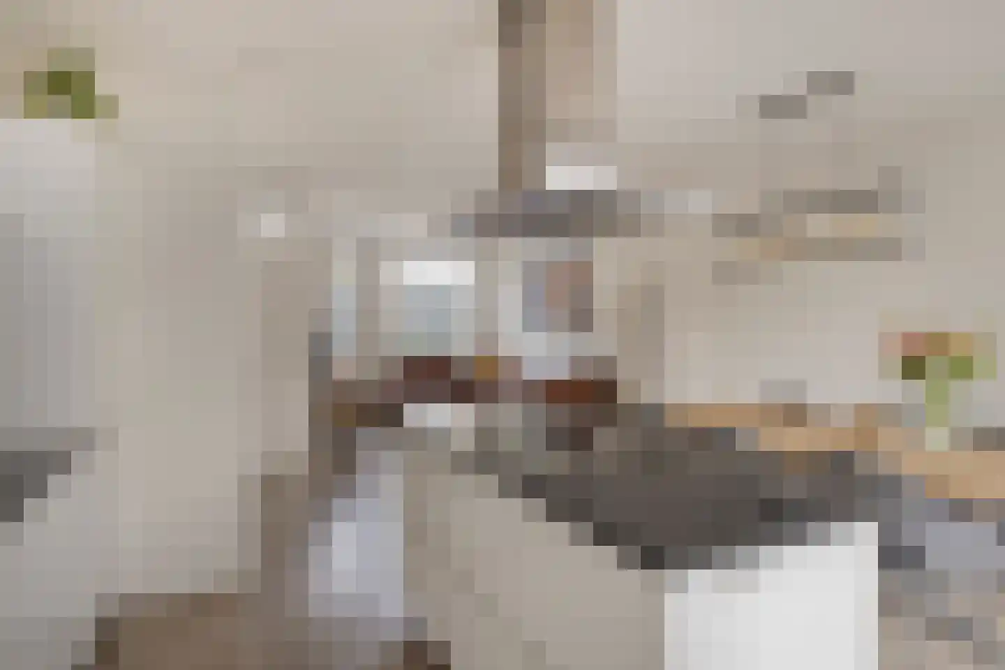 Papaverweerd 23 Maastricht thumbnail 15