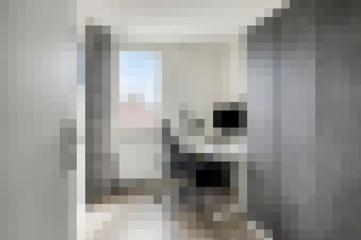 Papaverweerd 23 Maastricht thumbnail 24