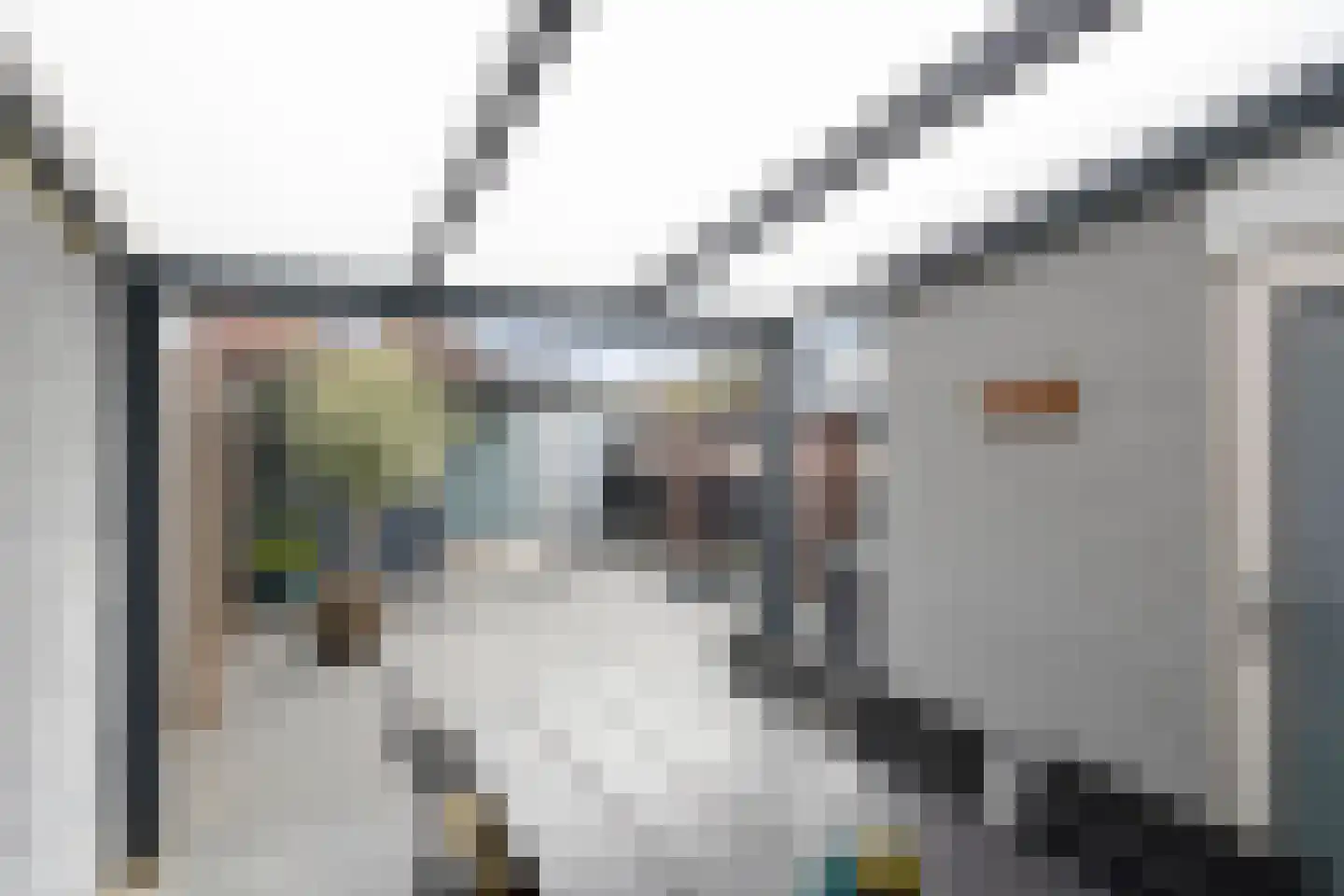Papaverweerd 23 Maastricht thumbnail 27