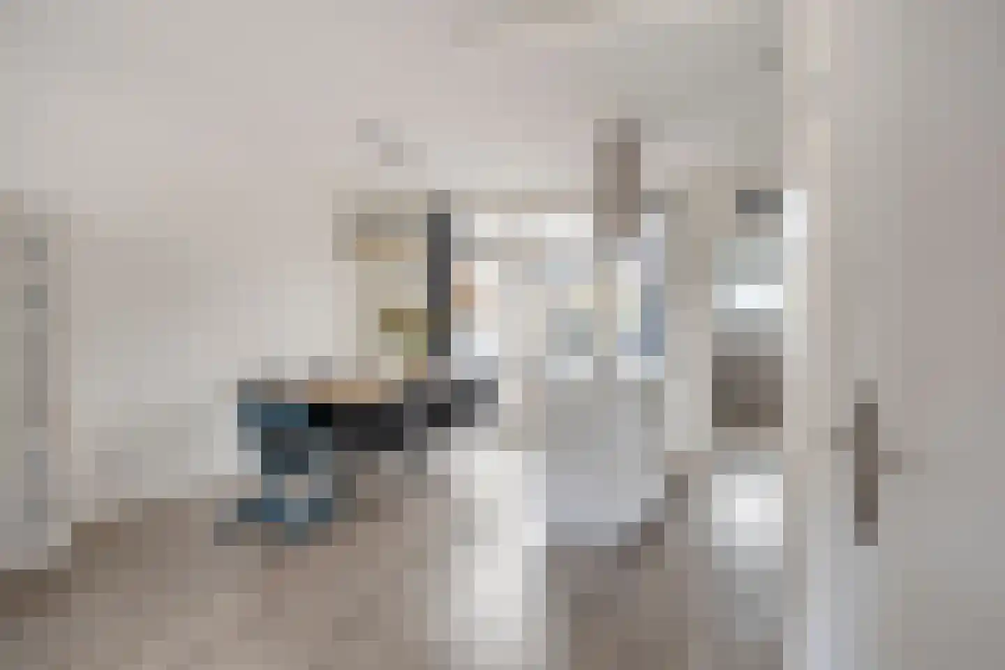 Papaverweerd 23 Maastricht thumbnail 6