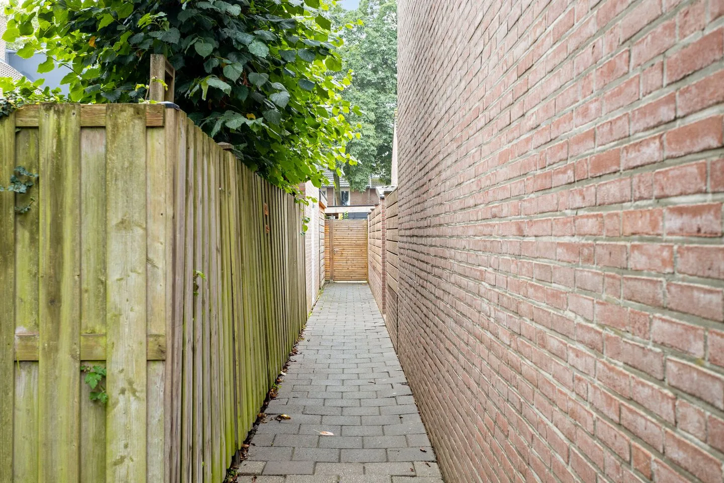 Papaverweerd 7 Maastricht thumbnail 37