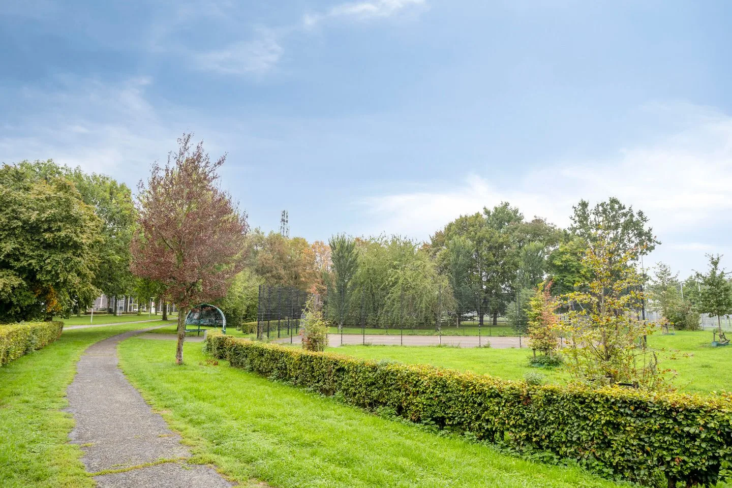 Papaverweerd 7 Maastricht thumbnail 49