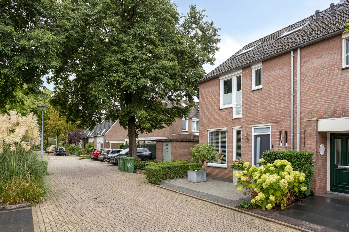 Papaverweerd 7 Maastricht thumbnail 50