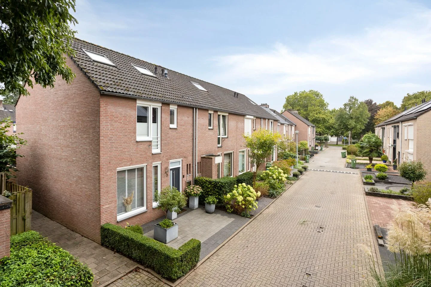 Papaverweerd 7 Maastricht thumbnail 52